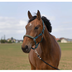 Halster Equithème Nylon Chevron Donkergroen