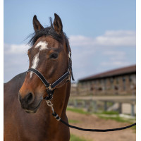 Halster Equithème Nylon light Zwart Halster Equithème Nylon light Zwart