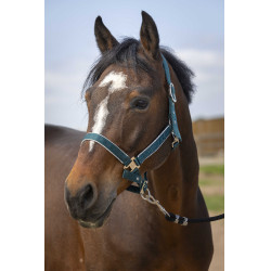 Licol Equithème Nylon light