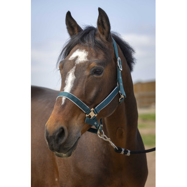 Licol Equithème Nylon light