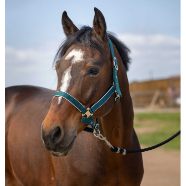 Licol Equithème Nylon light