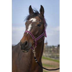 Licol Equithème Nylon light