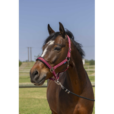 Halster Norton 4lines Bordeaux