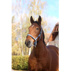 Licol Nylon Spring Equithème Bleu Licol Nylon Spring Equithème Bleu