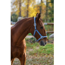 Licol Nylon Spring Equithème Bleu Licol Nylon Spring Equithème Bleu