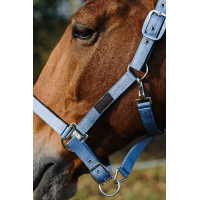 Licol Nylon Spring Equithème Bleu Licol Nylon Spring Equithème Bleu