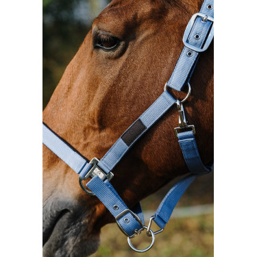 Licol Nylon Spring Equithème Bleu Licol Nylon Spring Equithème Bleu