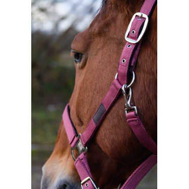 Nylon Halster Spring Equithème Roze