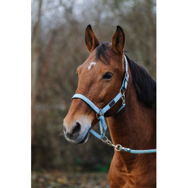 Nylon Halster Spring Equithème Turkoois Blauw