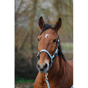 Licol Nylon Spring Equithème