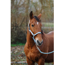 Licol Nylon Spring Equithème