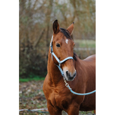 Licol Nylon Spring Equithème