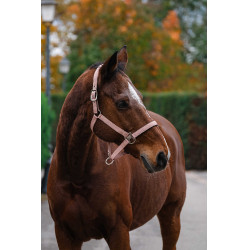 Nylon Halster Spring Equithème Lichtroze