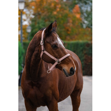 Nylon Halster Spring Equithème Lichtroze