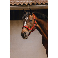 Nylon halster Equithème Jacquard Rood Nylon halster Equithème Jacquard Rood