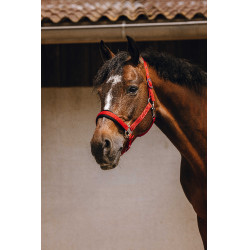 Nylon halster Equithème Jacquard Rood Nylon halster Equithème Jacquard Rood