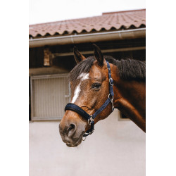 Licol nylon Equithème Jacquard