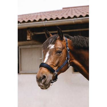 Licol nylon Equithème Jacquard