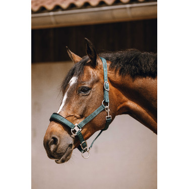 Licol nylon Equithème Jacquard Vert