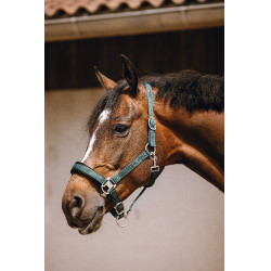 Nylon halster Equithème Jacquard Groen Nylon halster Equithème Jacquard Groen