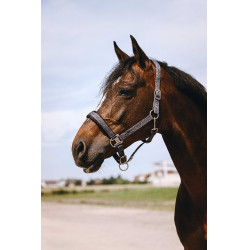 Nylon halster Equithème Jacquard Grijs Nylon halster Equithème Jacquard Grijs