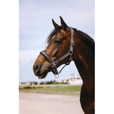 Nylon halster Equithème Jacquard Grijs Nylon halster Equithème Jacquard Grijs