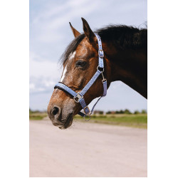 Nylon halster Equithème Jacquard Lichtblauw Nylon halster Equithème Jacquard Lichtblauw