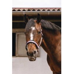 Nylon halster Equithème Jacquard Roze Nylon halster Equithème Jacquard Roze