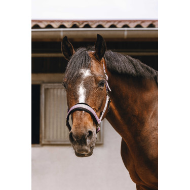 Nylon halster Equithème Jacquard Roze Nylon halster Equithème Jacquard Roze