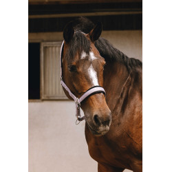 Nylon halster Equithème Jacquard Lila Blauw
