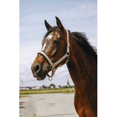 Nylon halster Equithème Jacquard Taupe Bruin