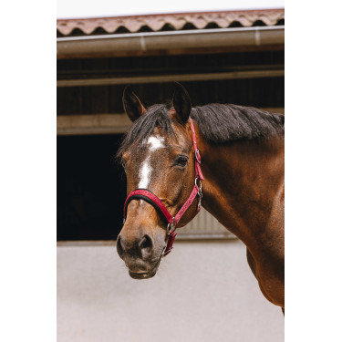 Licol nylon Equithème Jacquard