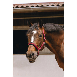 Nylon halster Equithème Jacquard Bordeaux Nylon halster Equithème Jacquard Bordeaux