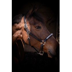 Licol Pénélope Harmonie Noir Licol Pénélope Harmonie Noir
