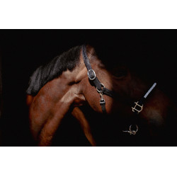 Halster Pénélope Harmonie Zwart Halster Pénélope Harmonie Zwart