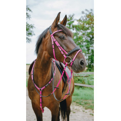 Endurancehoofdstel Norton Pop Endurancehoofdstel Norton Pop