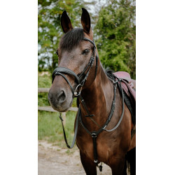 Endurancehoofdstel Norton Pop Endurancehoofdstel Norton Pop