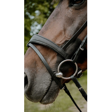 Endurancehoofdstel Norton Pop Endurancehoofdstel Norton Pop