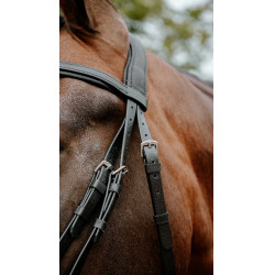 Endurancehoofdstel Norton Pop Endurancehoofdstel Norton Pop