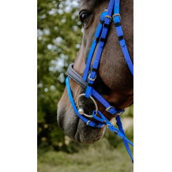 Endurancehoofdstel Norton Pop Endurancehoofdstel Norton Pop