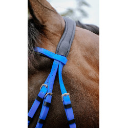 Endurancehoofdstel Norton Pop Endurancehoofdstel Norton Pop