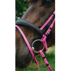 Endurancehoofdstel Norton Pop Endurancehoofdstel Norton Pop