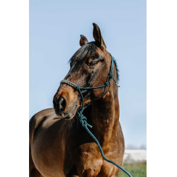 Ethologisch halster + leadrope Norton Deco