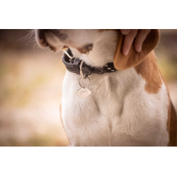 Collier pour chien Penelope Billie Collier pour chien Penelope Billie