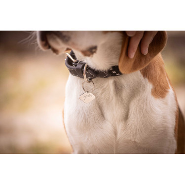 Collier pour chien Penelope Billie Collier pour chien Penelope Billie