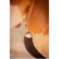 Hondenhalsband Penelope Billie Zwart / lurex