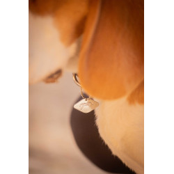 Hondenhalsband Penelope Billie