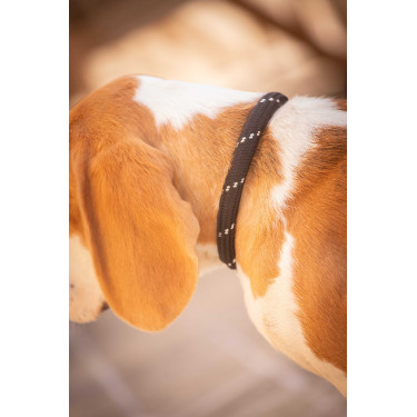 Collier pour chien Penelope Billie Collier pour chien Penelope Billie