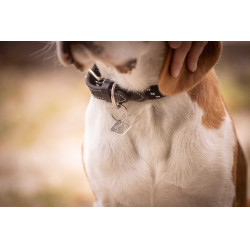 Hondenhalsband Penelope Billie