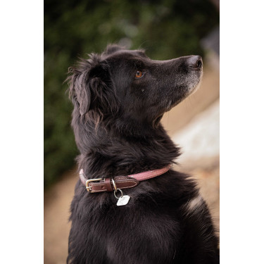 Collier pour chien Penelope Billie Collier pour chien Penelope Billie